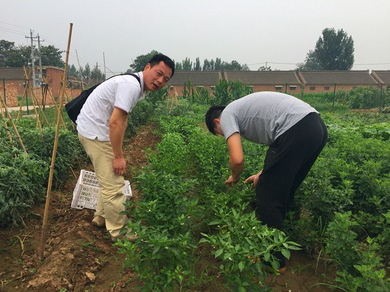 好利來郭總喊您來摘菜啦！綠色無公害，放心！